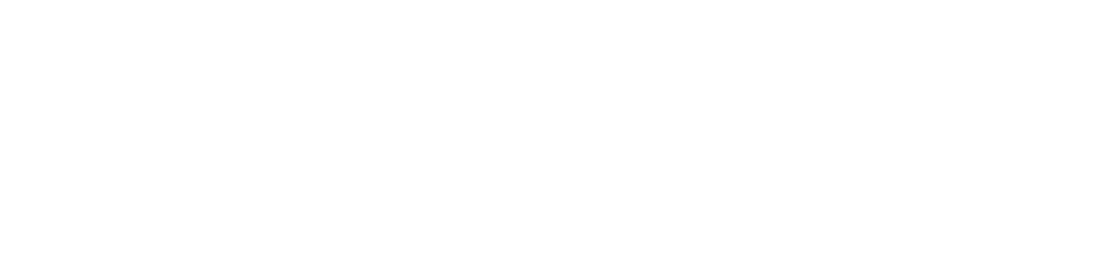 Raj Palace — The Authentic South Indian Cuisine